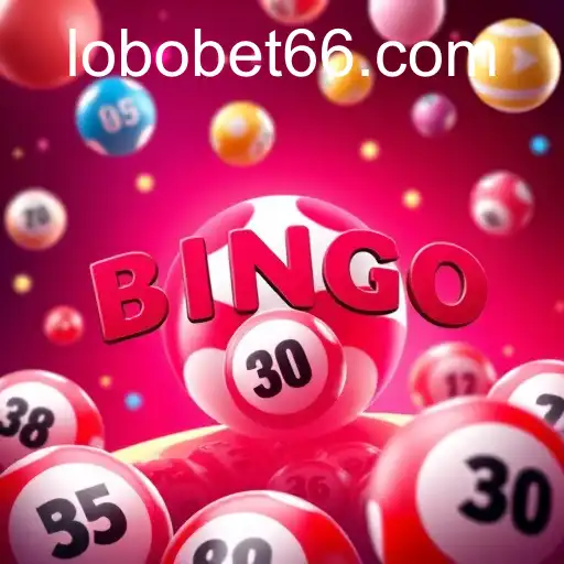 Gaming Experience lobobet - 800+ Premium and Exclusive Games